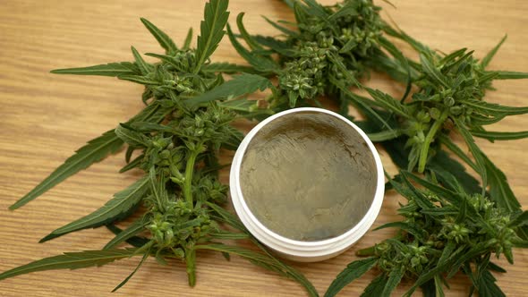 Cream Medicinal Cannabis Hemp Seeds Big Bud Bunch with Pistils Leaf and Cannabidiol CBD Harvested of