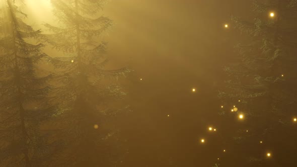 Magical Forest with Sparkles alt