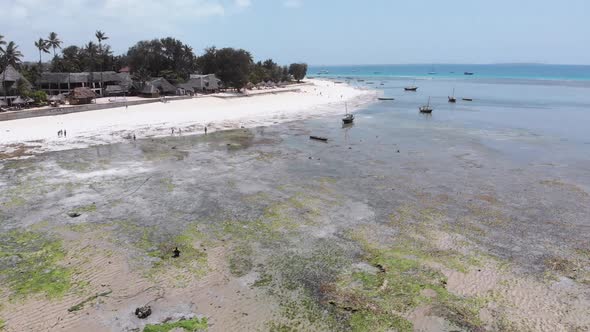 Long Ocean Low Tide with Bared Bottom in Shallow Water Zanzibar Aerial View alt