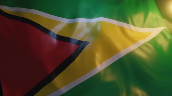 Guyana Flag alt