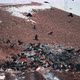 Crows at Rubbish Dump - VideoHive Item for Sale