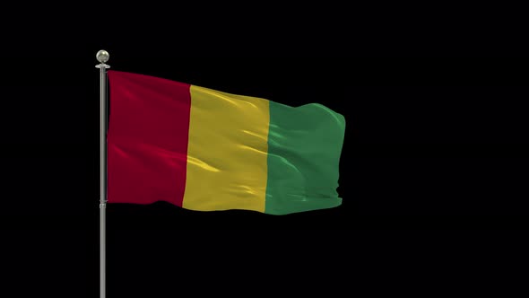 Guinea Flag Medium Shot Waving Looping Animation Include Alpha