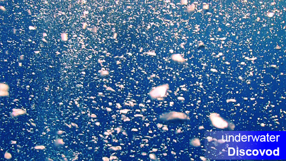 Air Bubbles in the Blue Water alt