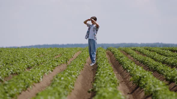 A Young Man Got Lost in a Field Where Potatoes Grow