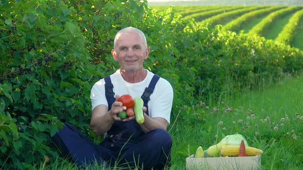 Happy Senior Farmer is Holding a Box of Organic Vegetables and Look at Camera alt