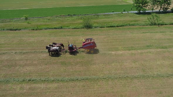 Aerial View of an Amish Farmer Harvesting His Crop with 4 Horses and Modern Equipment alt