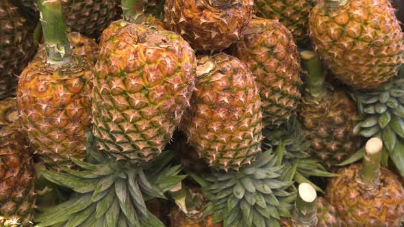 Many Ripe Pineapples Laying in Pile Hand Points on the Pineapple Fruit Market