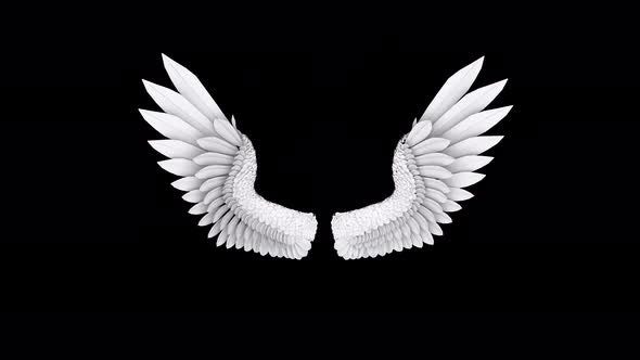 Angel Wings 4K