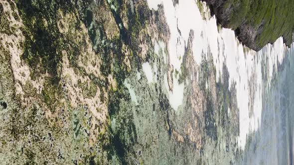 Zanzibar Tanzania  Vertical Video of Low Tide in the Ocean Near the Coast Slow Motion alt