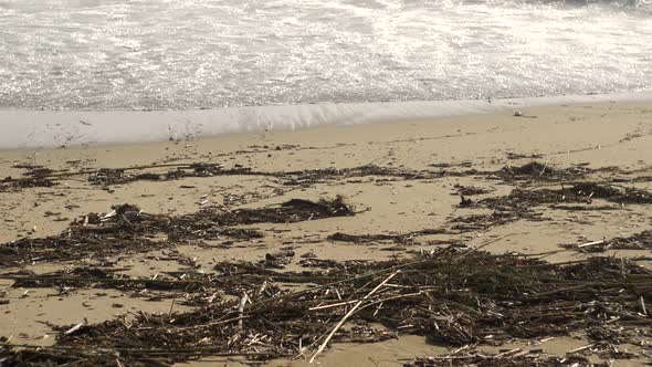 Beach Polution After a Hurricane a Lot of Garbage After Wind From Sea Plastic Polution alt