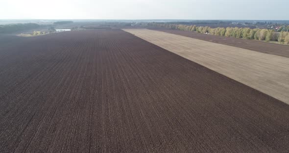 Agricultural Red Small Tractor in the Field Plowing