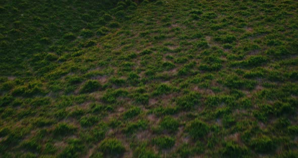 Aerial View of Beautiful Countryside at Sunset alt