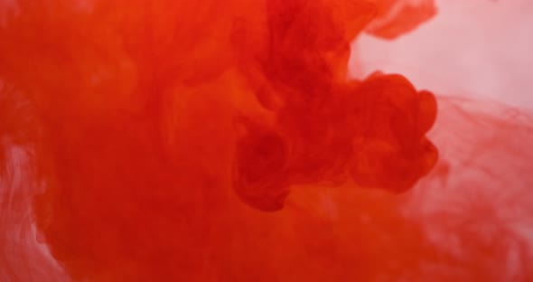 Red Color Paint Ink Drops in Water at White Background. Inky Cloud Flowing Underwater. Abstract alt