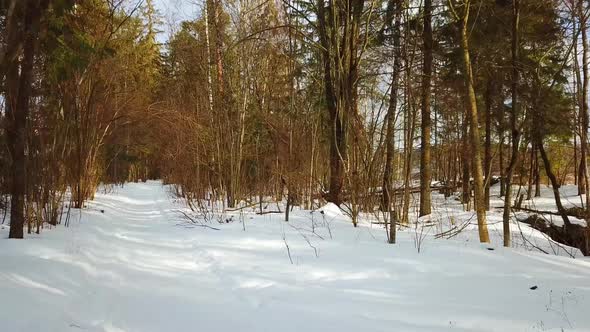 Winter, February, Quarry And River 19 alt