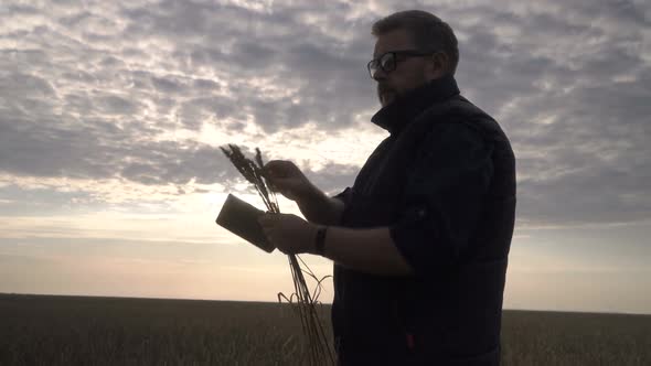 Farmer Works with a Computer Tablet in a Wheat Field at Sunset alt