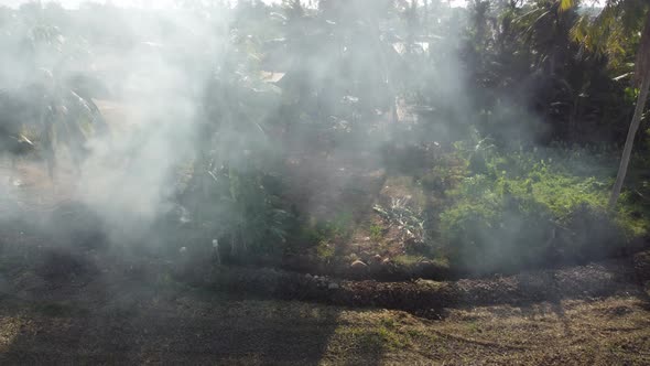 Open fire happen at dry cultivation field alt