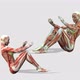Female Muscle Anatomy Excercise - VideoHive Item for Sale