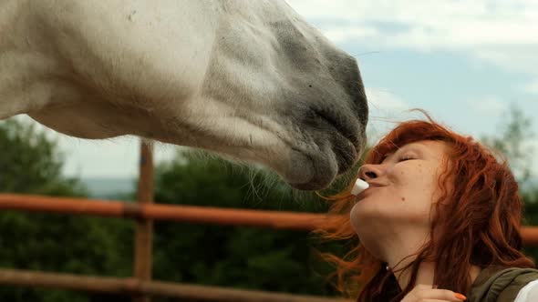 Feeding the Horse Sugar. Woman Holds Sugar in Their Mouths.