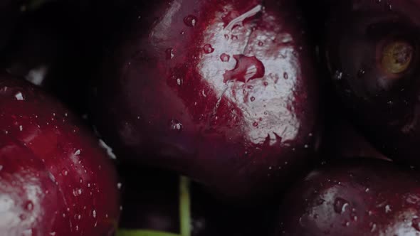 Fresh Juicy Dark Red Cherries on Rotating Surface Close Up Top View