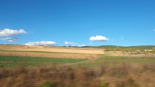 Moving rural scenery as seen through the vehicle window on the road, alongside different crop fields