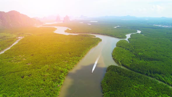 Drone flying over forests, mangroves and beautiful river. alt