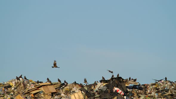 Concept of Modern Society of Consumption and Environmental Pollution on Dump  alt