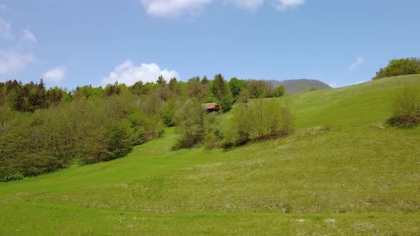 Flying over green spring meadows in front of old hay barn. Aerial 4k drone view. alt
