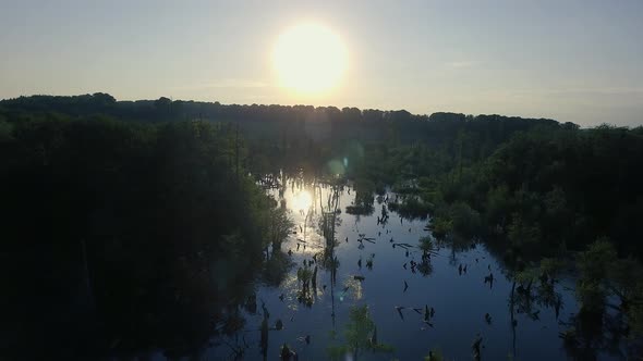 Camera Slowly Drags Back Over The Swamp And The Trees With Backlight