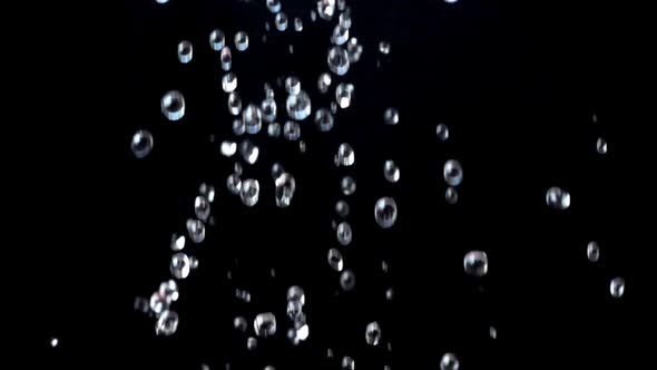 Water on a Black Background alt