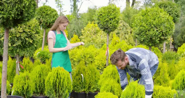 Man and Woman Professional Gardeners with Small Potted Tree in the Garden alt