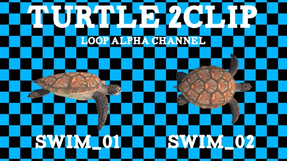 Turtle Swim 2 Clip Loop