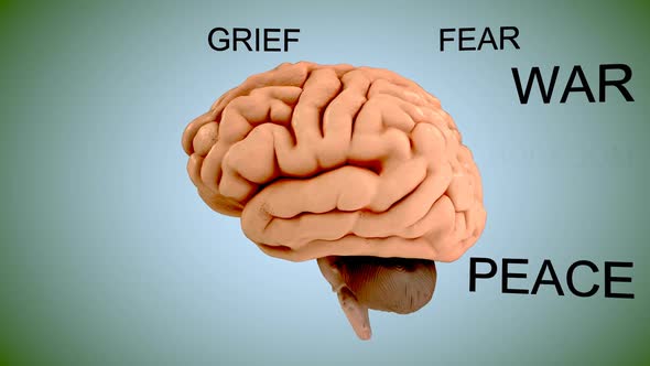 360 degrees view of the human brain with surrounding emotions. Loopable. HD alt