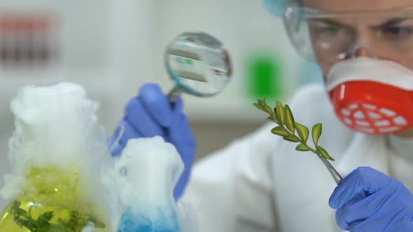 Female Biologist Examining Plant Sample, Cosmetology Laboratory Researches alt