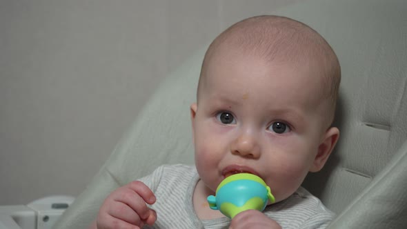 Infant Nibble Food on High Chair Nibbler for Kid Feeding