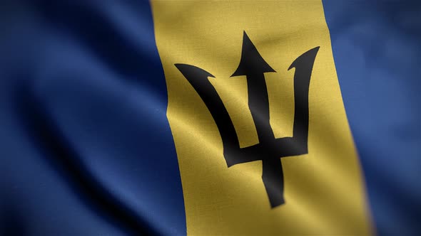 Barbados Flag Angle