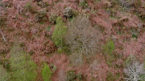 Cliff and valley with a path with anti-fall fences that ascends to the hill with vegetation in sprin alt