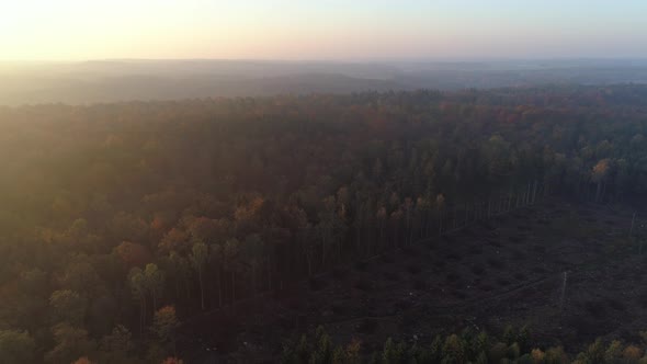 Aerial View of Forest and Clear Cut Area