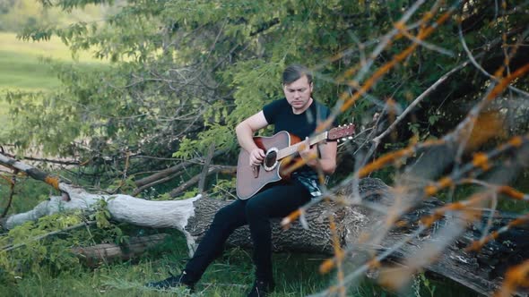 A Guitarist Sits on a Broken Tree and Plays an Acoustic Guitar