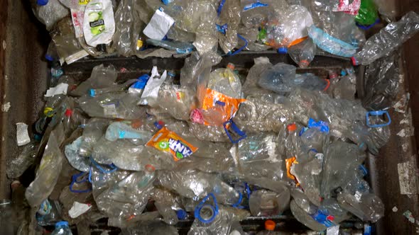 Plastic Bottle Recycling Conveyor