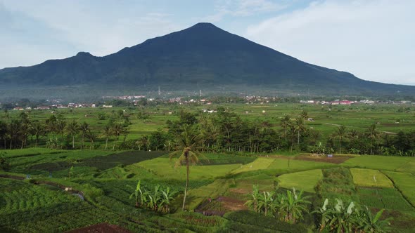 Ciremai mountain in the background above farmland with backward motion drone
