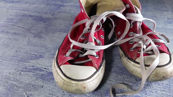 Old Sneakers and Shoelaces