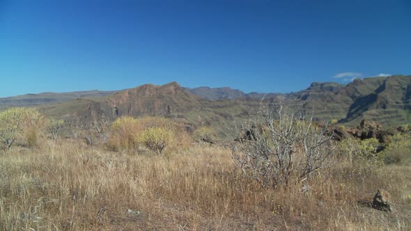 Dolly Shot of Dry Grassland and Mountains alt