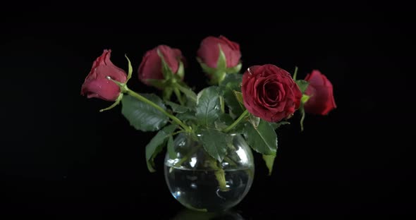 Roses From Garden on Table alt