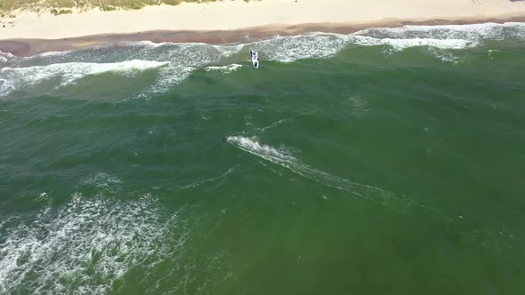AERIAL: Reveal Shot of Surfer and Sandy Beach near Green Forest 