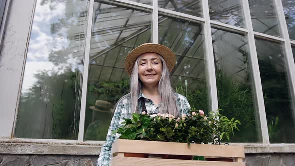 Woman in Hat Standing Near Greenhouse Wall and Holding in Hands Box alt