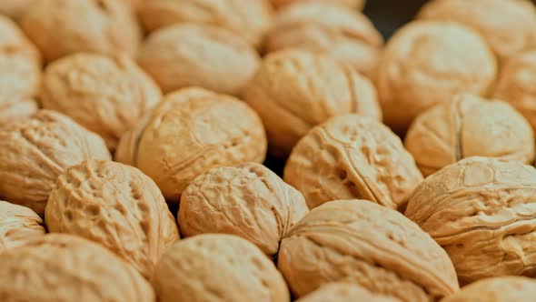 Looped Spinning Walnuts with Shells Closeup Full Frame Background