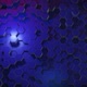 Background with Hexagons - VideoHive Item for Sale
