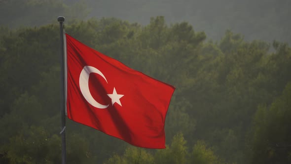 Turkish Flag Blowing in the Wind Over Green Trees alt