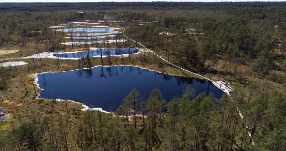 Forest Lakes And Bogs