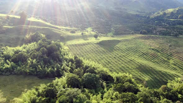 Beautiful sunset over my farm alt